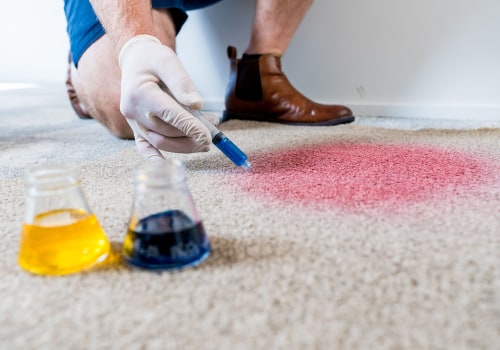 The Truth About Stain Removal Services Offered by Carpet Cleaning Services